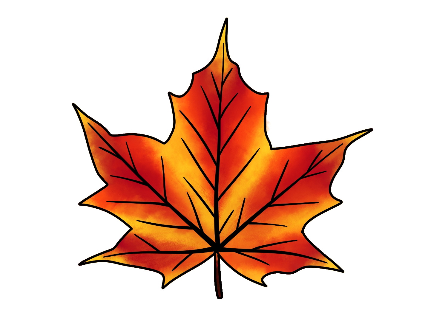 How To Draw A Maple Leaf Design School