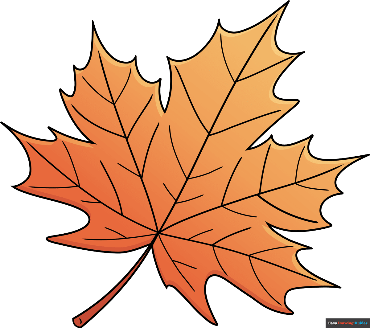 How To Draw A Maple Leaf Really Easy Drawing Tutorial