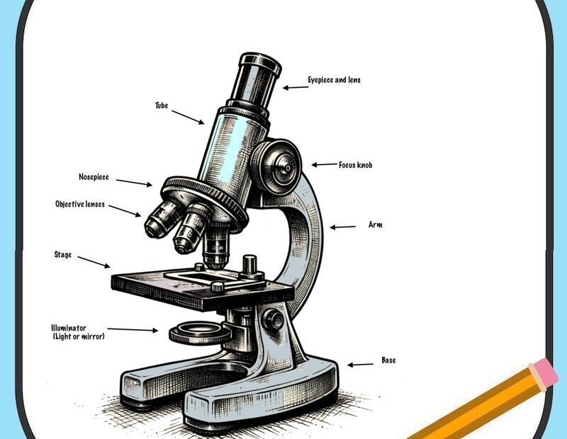 How To Draw A Microscope Step By Step Microscope Detective