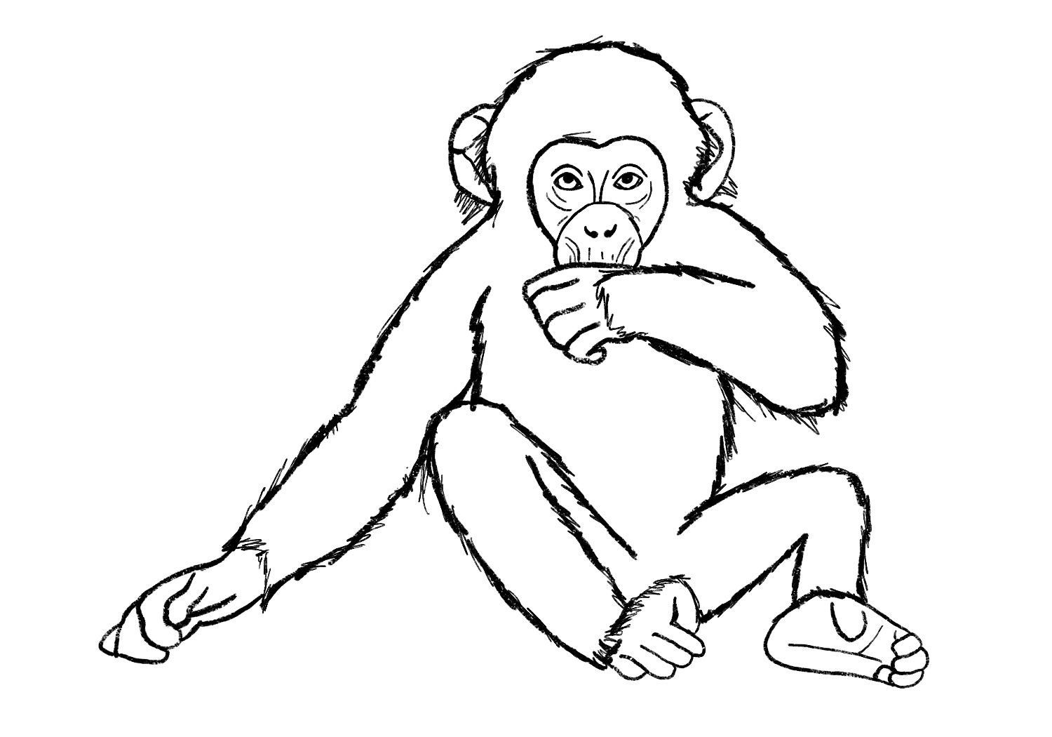 monkey to draw