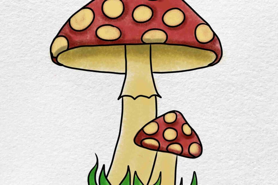 How To Draw A Mushroom HelloArtsy