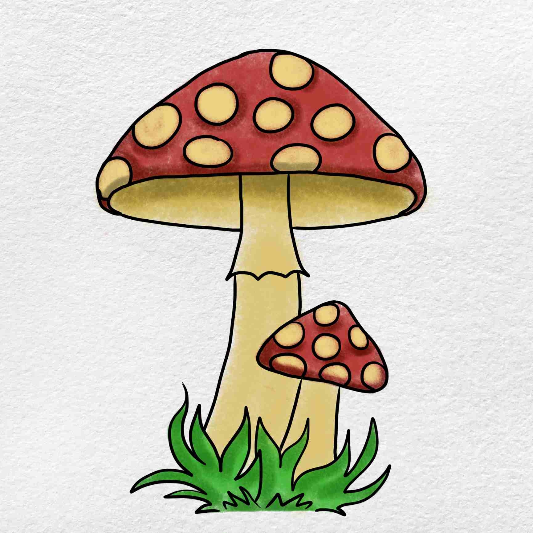 How To Draw A Mushroom HelloArtsy