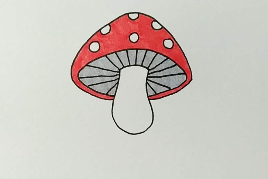 How To Draw A Mushroom Skip To My Lou