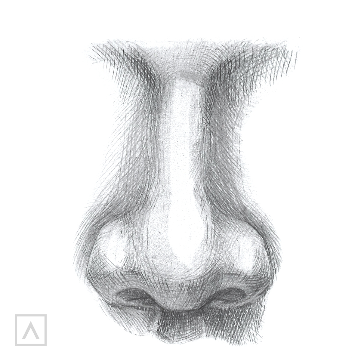 How To Draw A Nose In Just 5 Steps Arteza