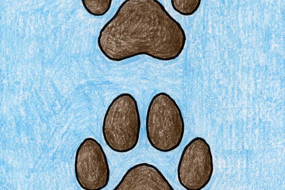 How To Draw A Paw Print For A Dog U0026 Cat Easy Step by Step Art