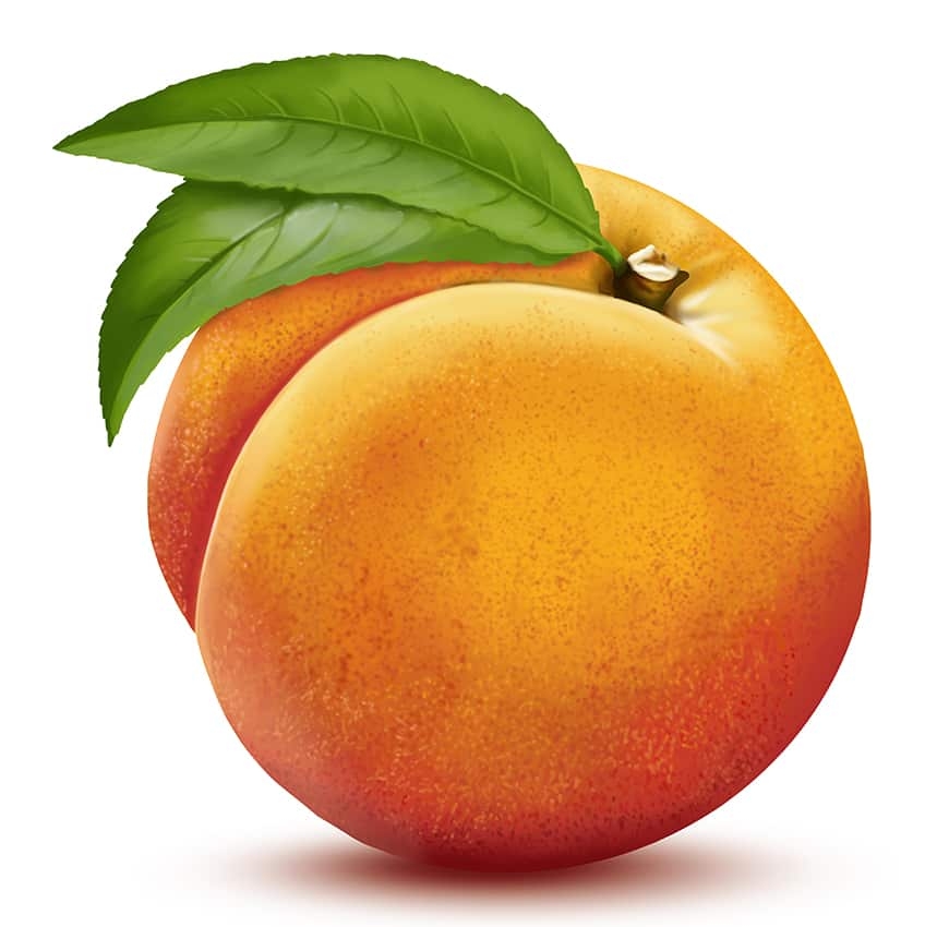 How To Draw A Peach An Easy Step by Step Peach Illustration Tutorial