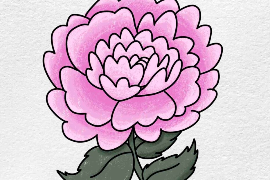 How To Draw A Peony HelloArtsy
