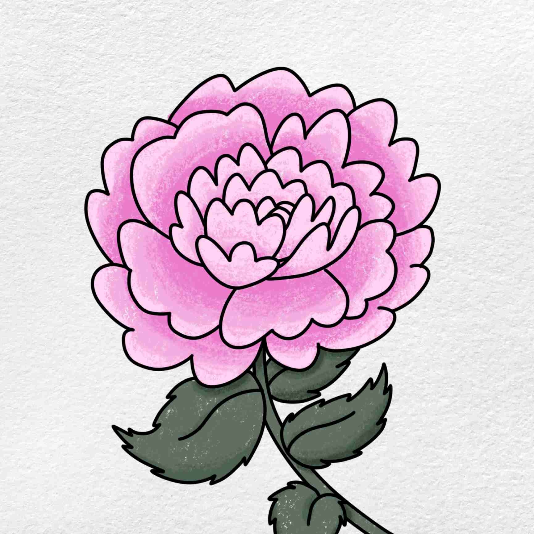 How To Draw A Peony HelloArtsy