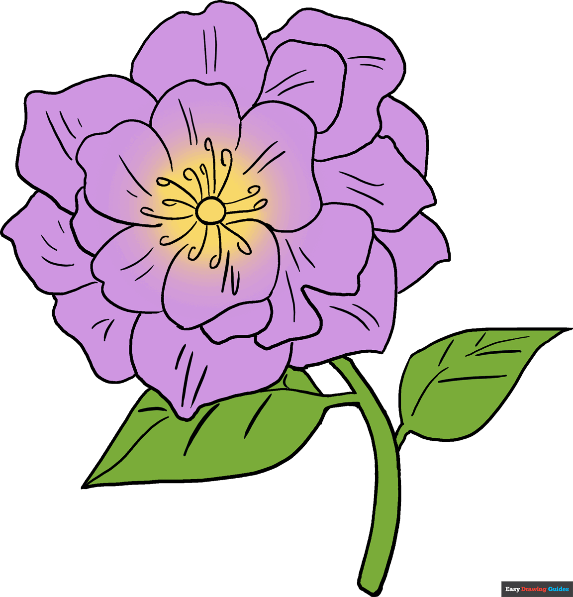 How To Draw A Peony Really Easy Drawing Tutorial