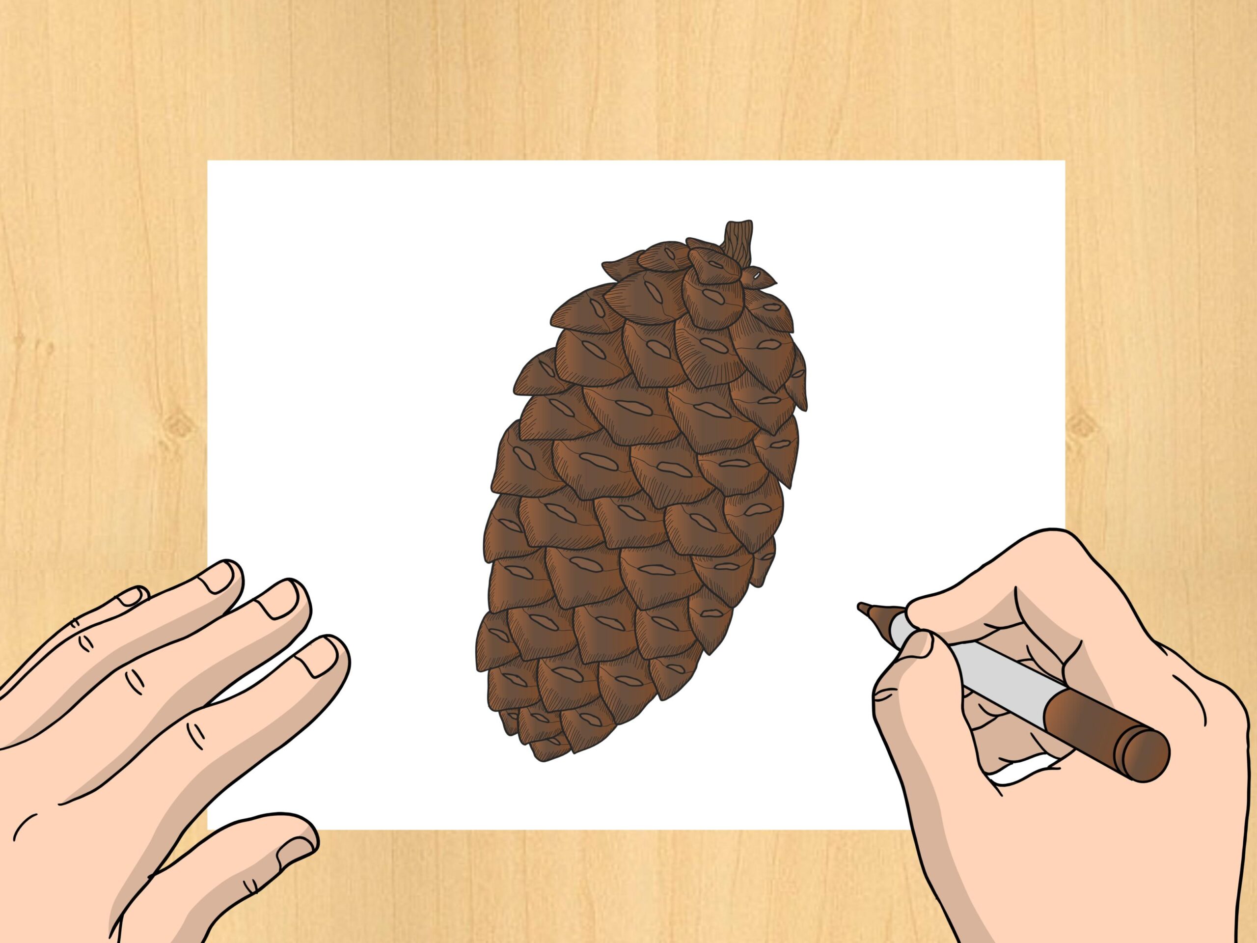 How To Draw A Pinecone 6 Steps with Pictures WikiHow