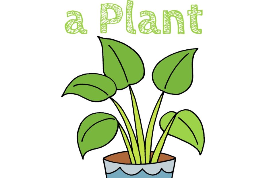 How To Draw A Plant How To Draw Easy