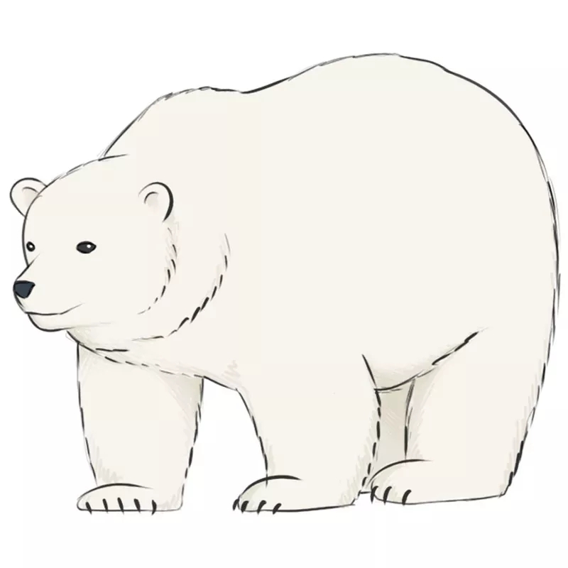 How To Draw A Polar Bear Easy Drawing Art