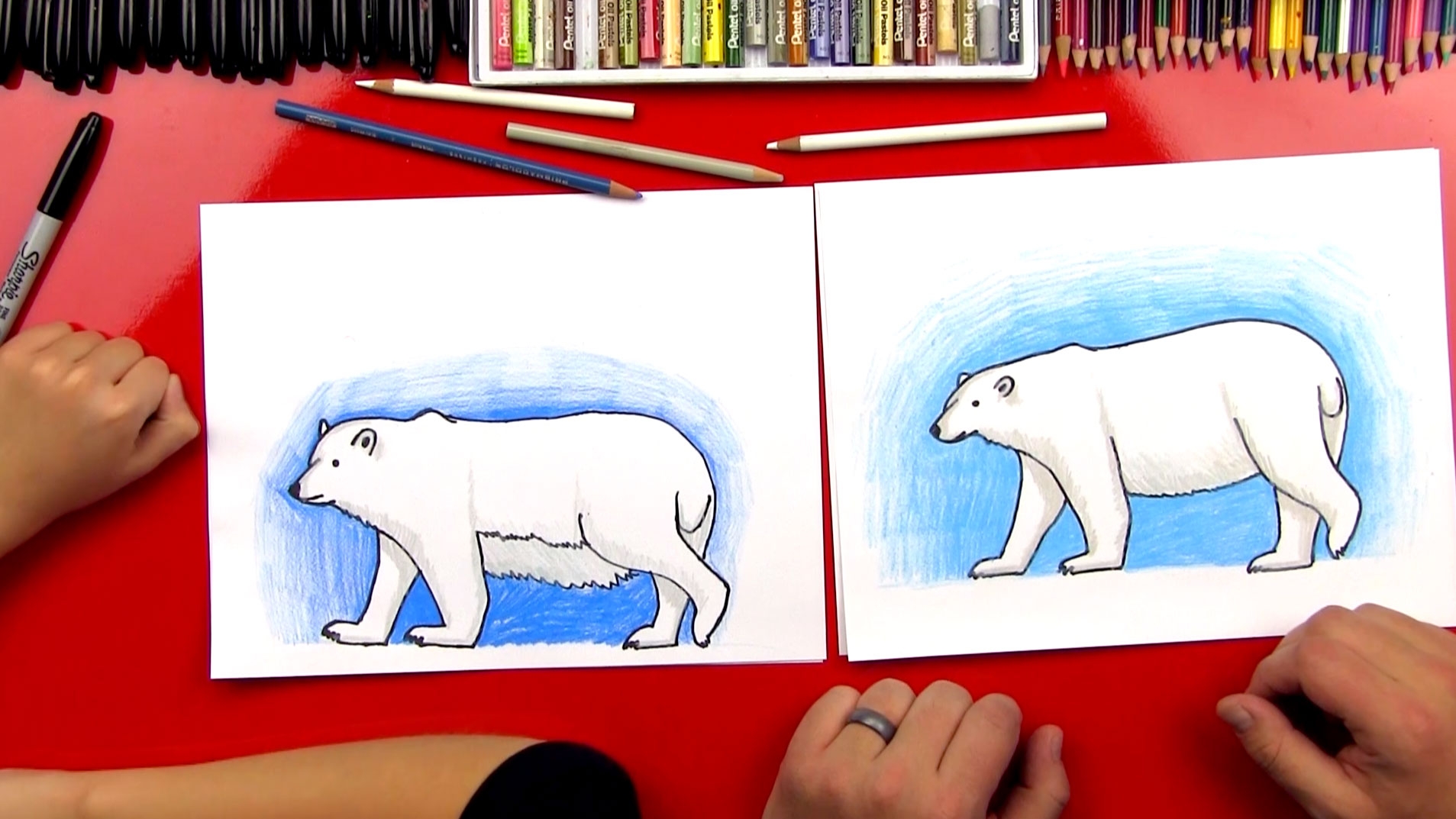 polar bear drawing