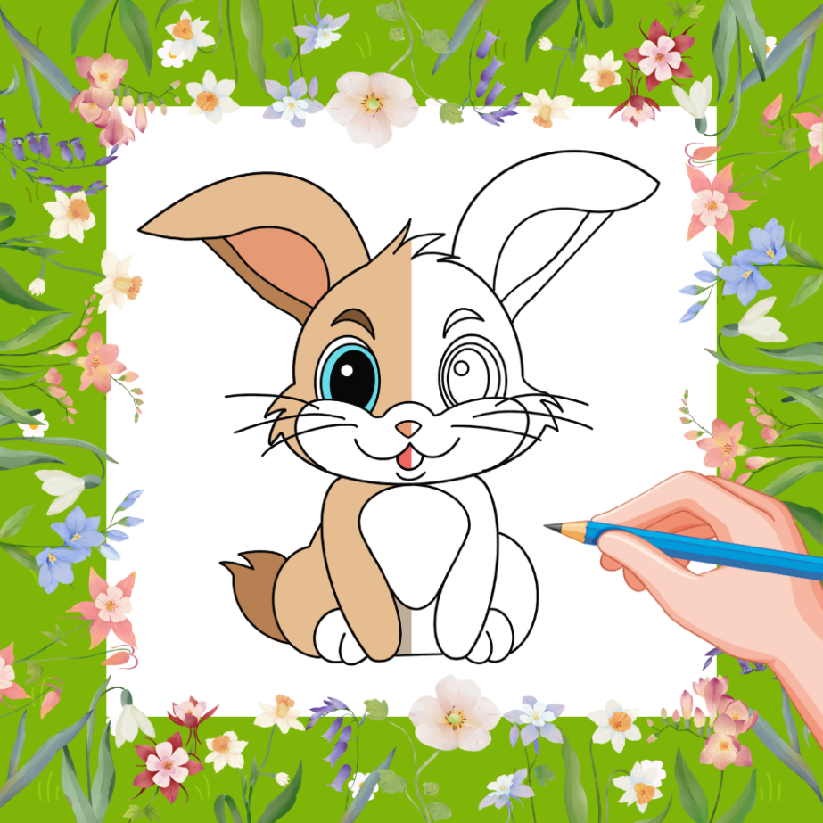 How To Draw A Rabbit A Step by Step How To Mimi Panda