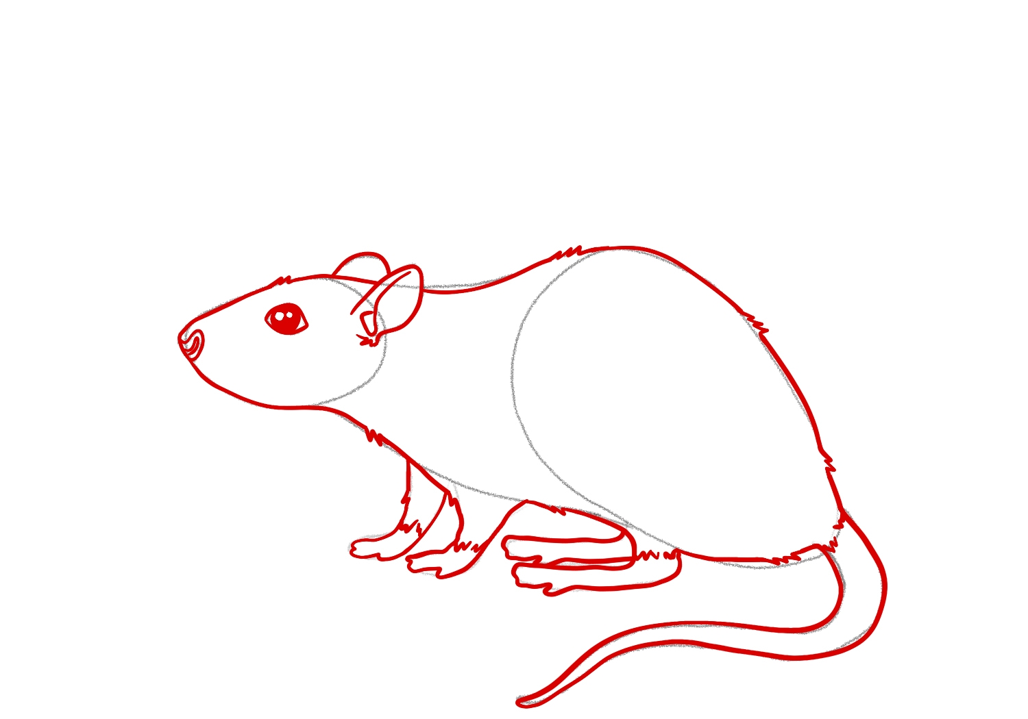 How To Draw A Rat Design School
