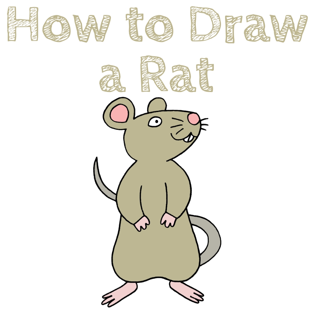 How To Draw A Rat How To Draw Easy