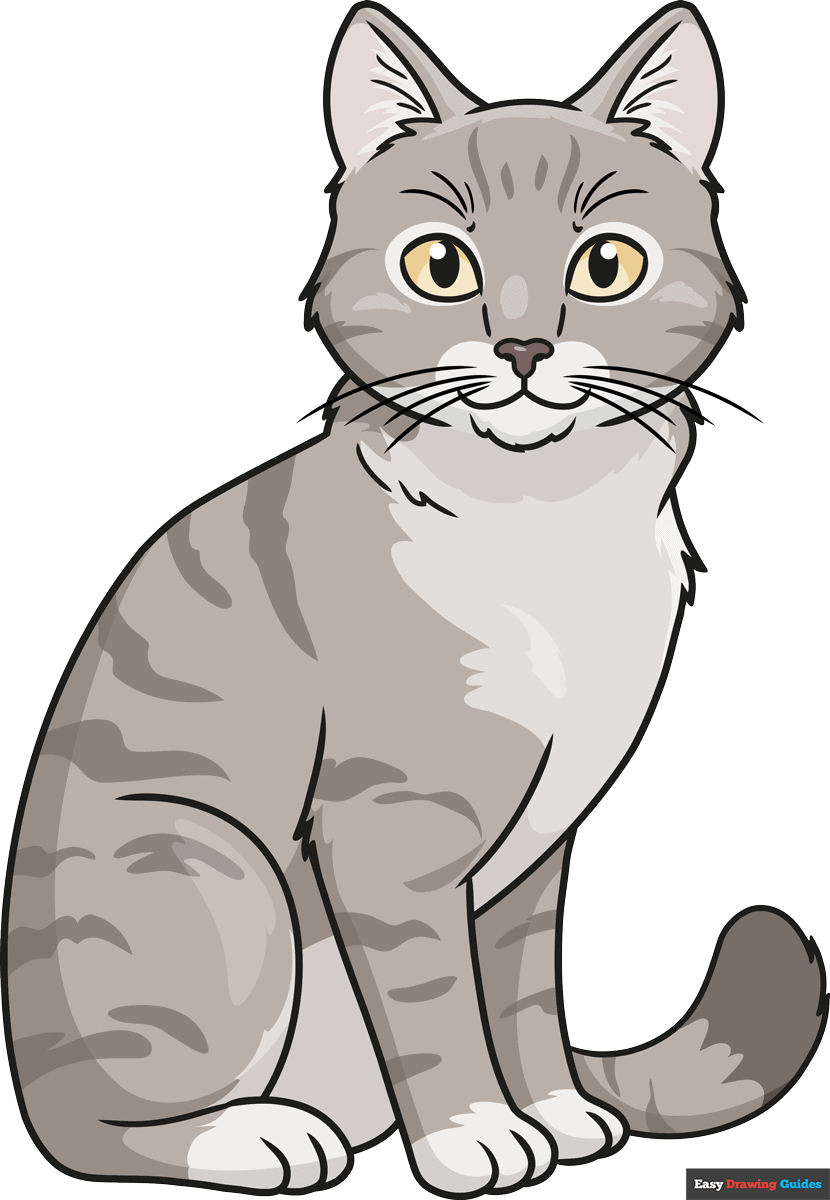 How To Draw A Realistic Cat Really Easy Drawing Tutorial