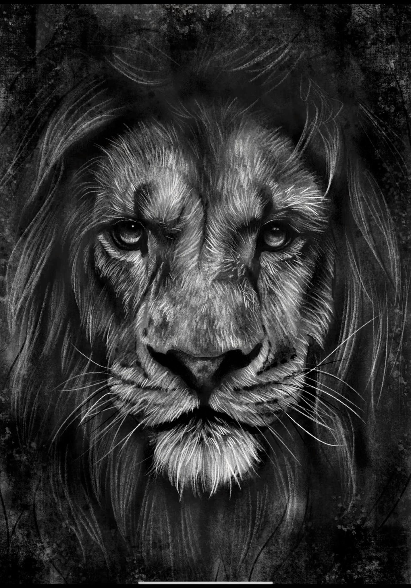 How To Draw A Realistic Lion Like An Artist Studio Wildlife