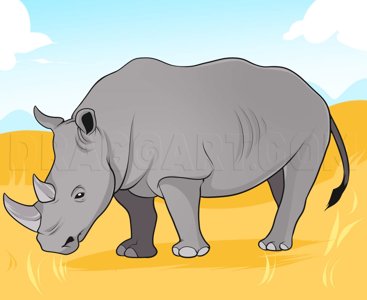 How To Draw A Rhino Drawing Step By Step By Dawn DragoArt