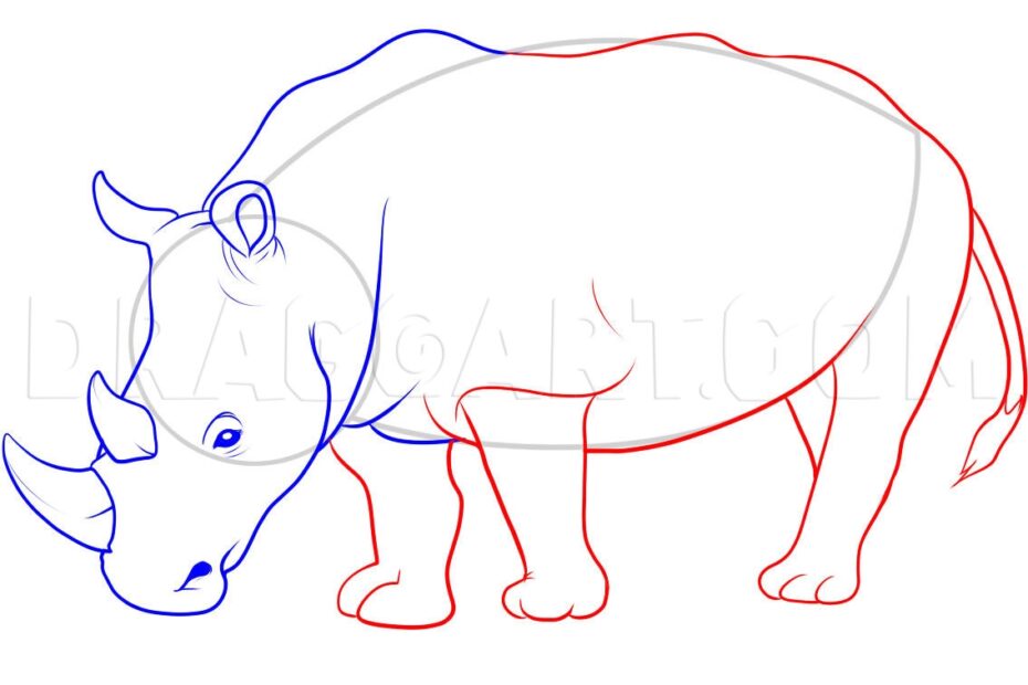 How To Draw A Rhino Drawing Step By Step By Dawn DragoArt
