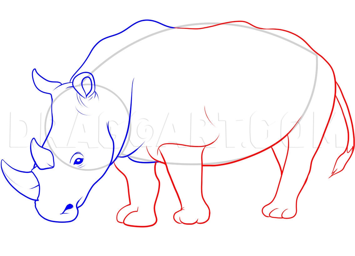 How To Draw A Rhino Drawing Step By Step By Dawn DragoArt