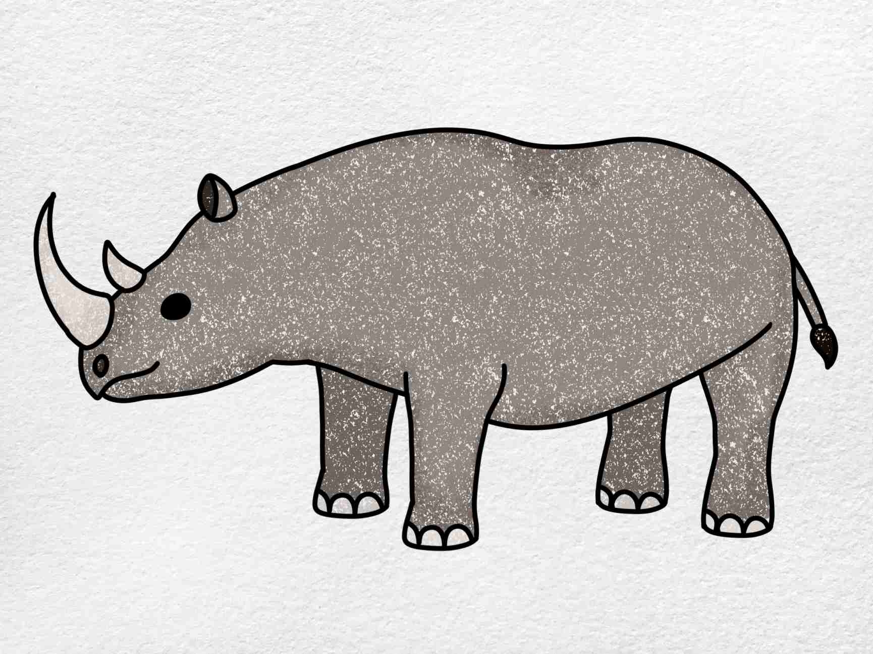 rhino drawing