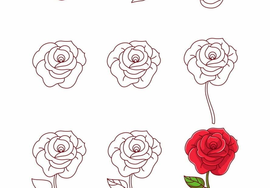 How To Draw A Rose A Step By Step Guide