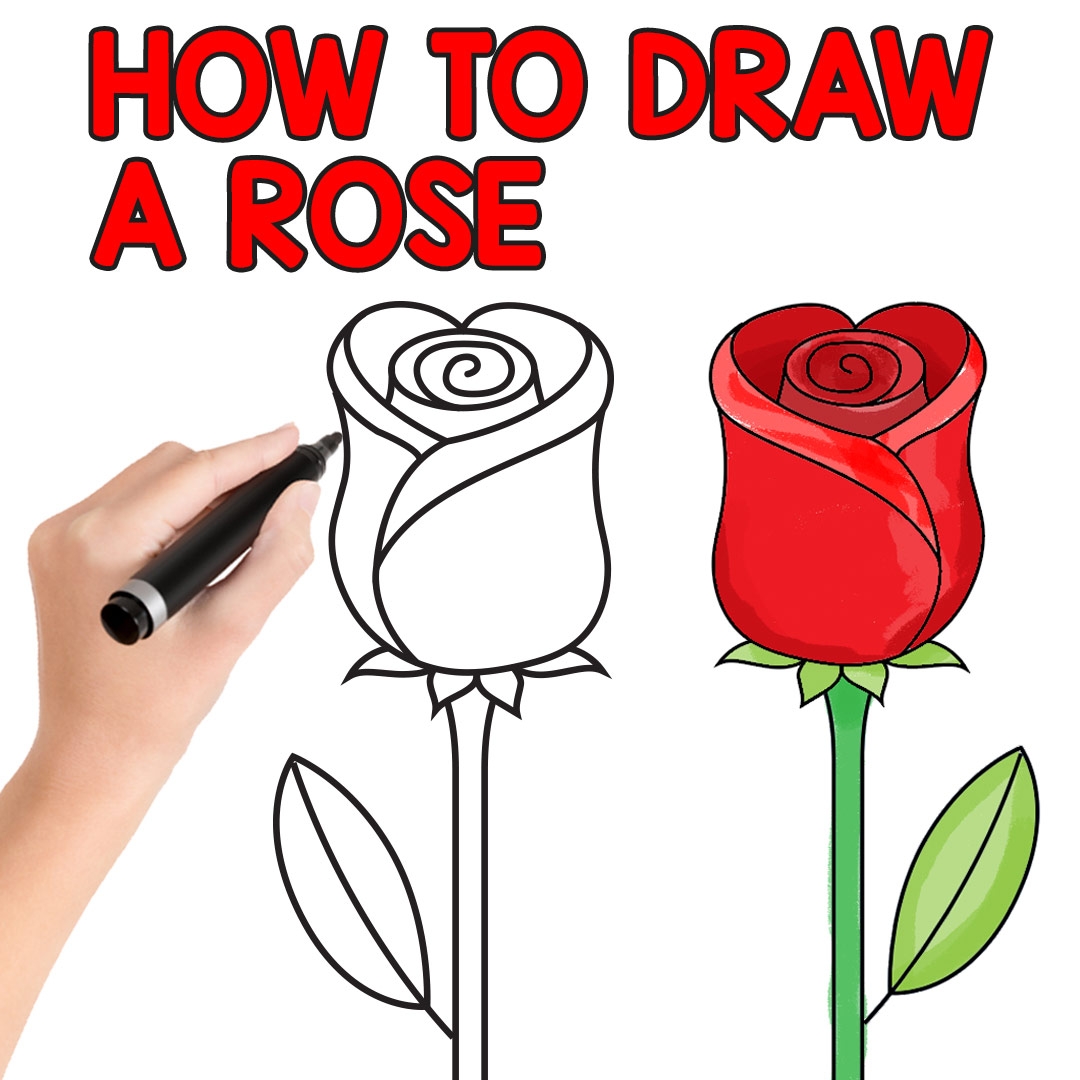 How To Draw A Rose Easy Step By Step For Beginners And Kids Easy Peasy And Fun
