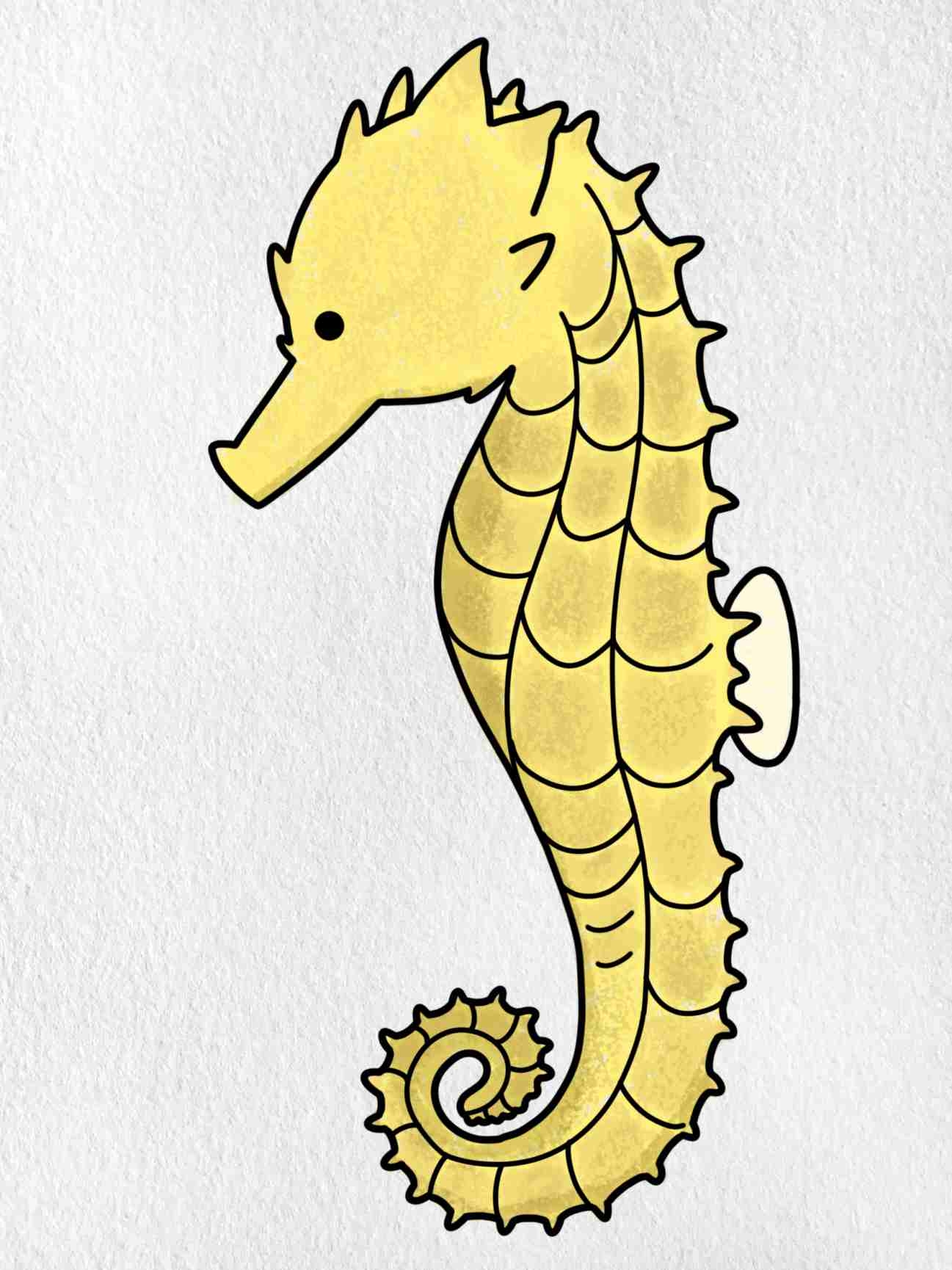 sea horse drawing