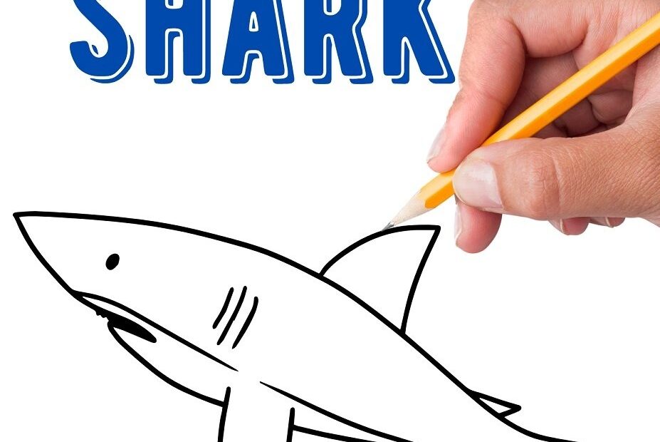How To Draw A Shark Easy Step By Step Crafty Morning