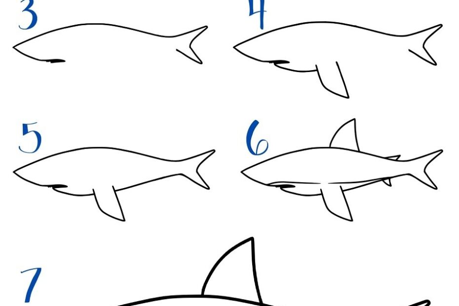 How To Draw A Shark Easy Step By Step Crafty Morning