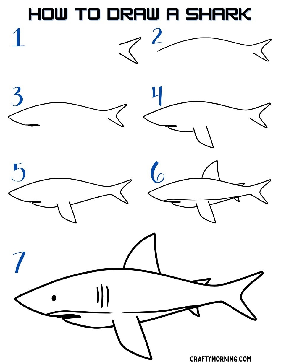 How To Draw A Shark Easy Step By Step Crafty Morning