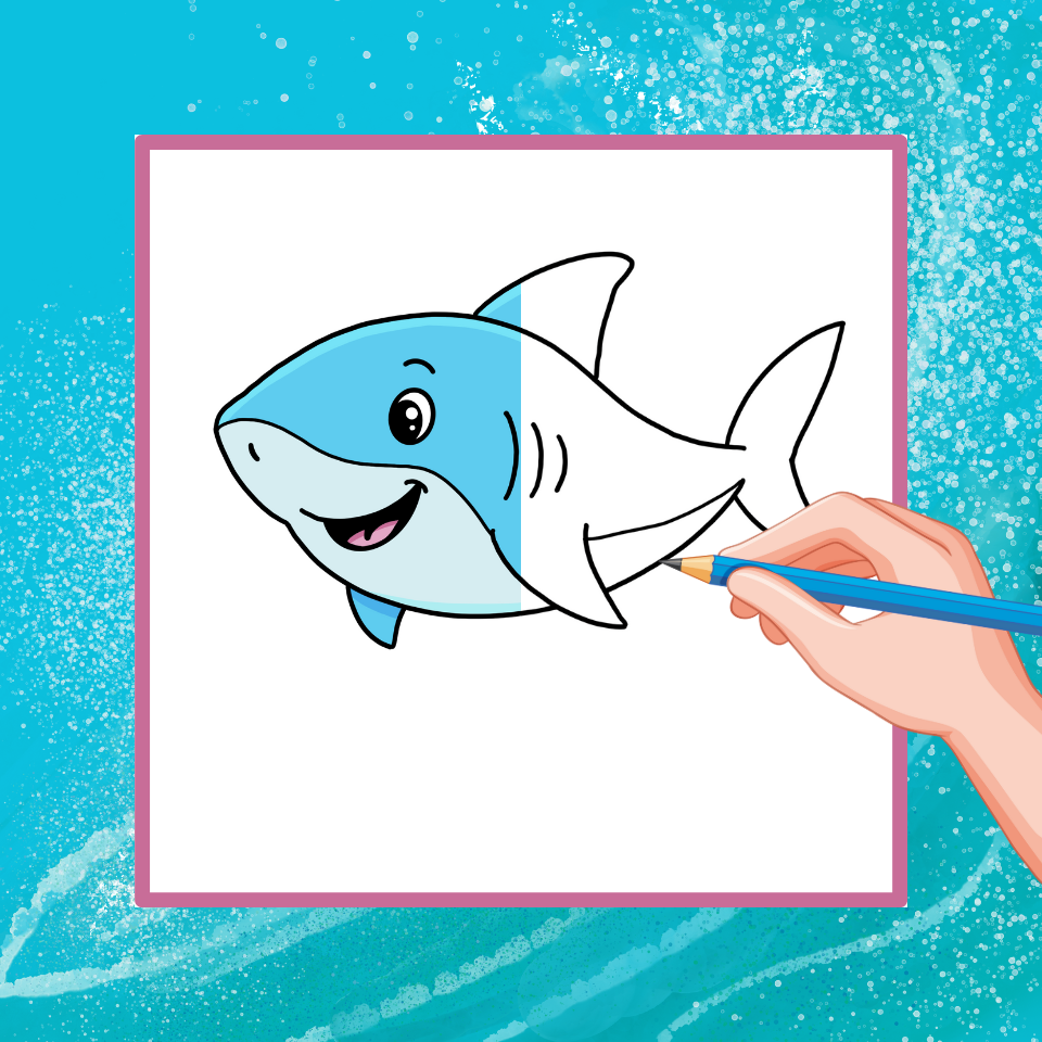 how to draw a shark easy