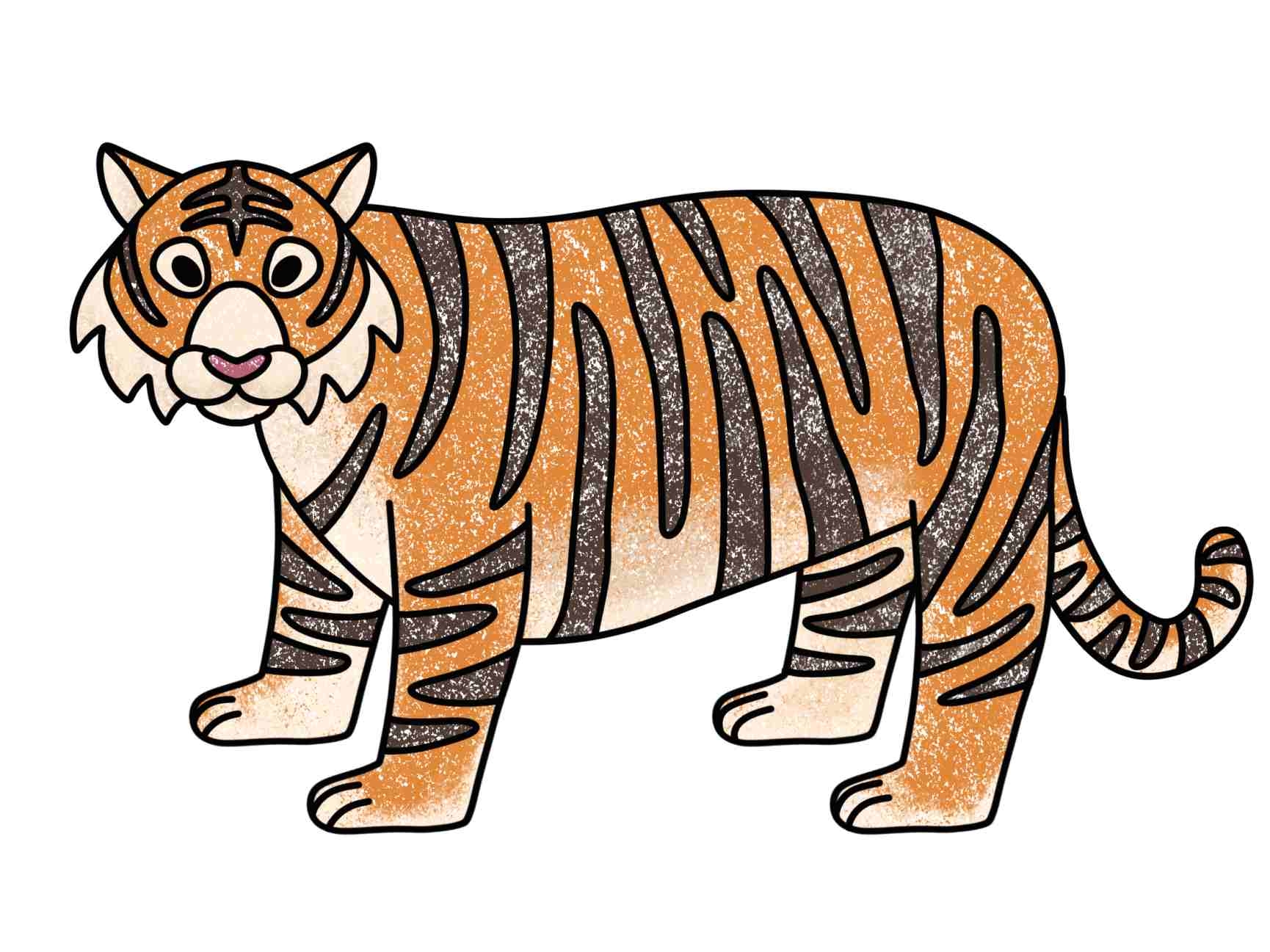 How To Draw A Siberian Tiger HelloArtsy
