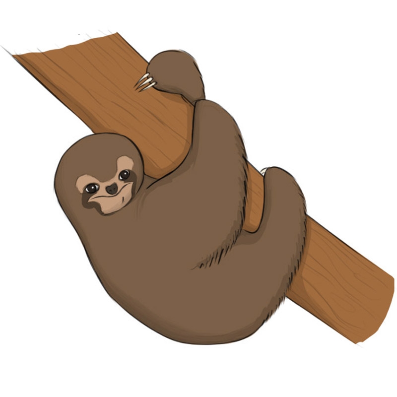 How To Draw A Sloth Easy Drawing Art