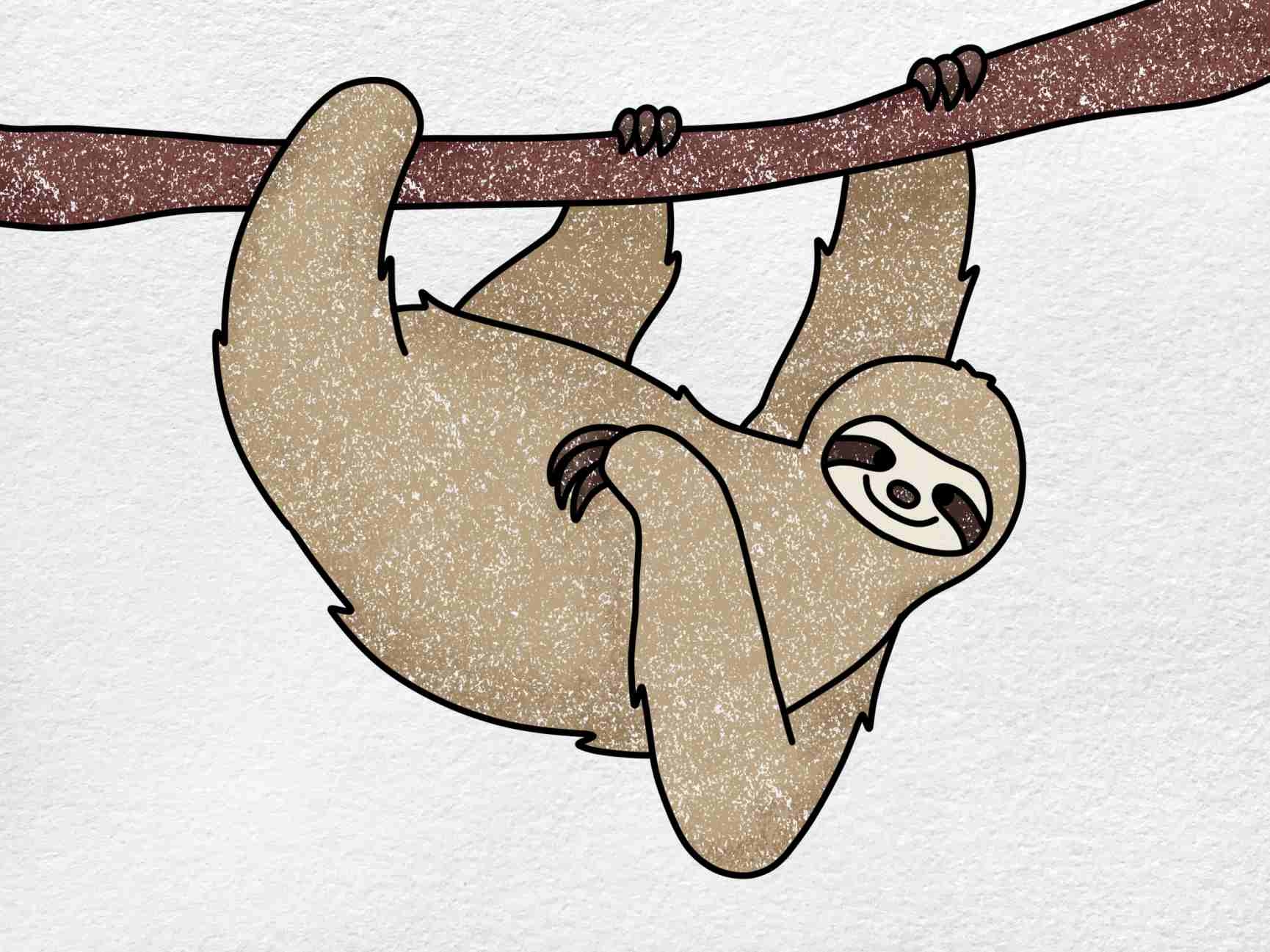 How To Draw A Sloth HelloArtsy