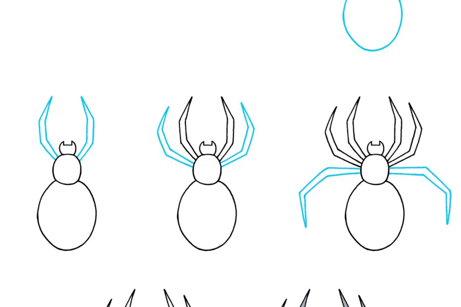 How To Draw A Spider How To Draw Easy
