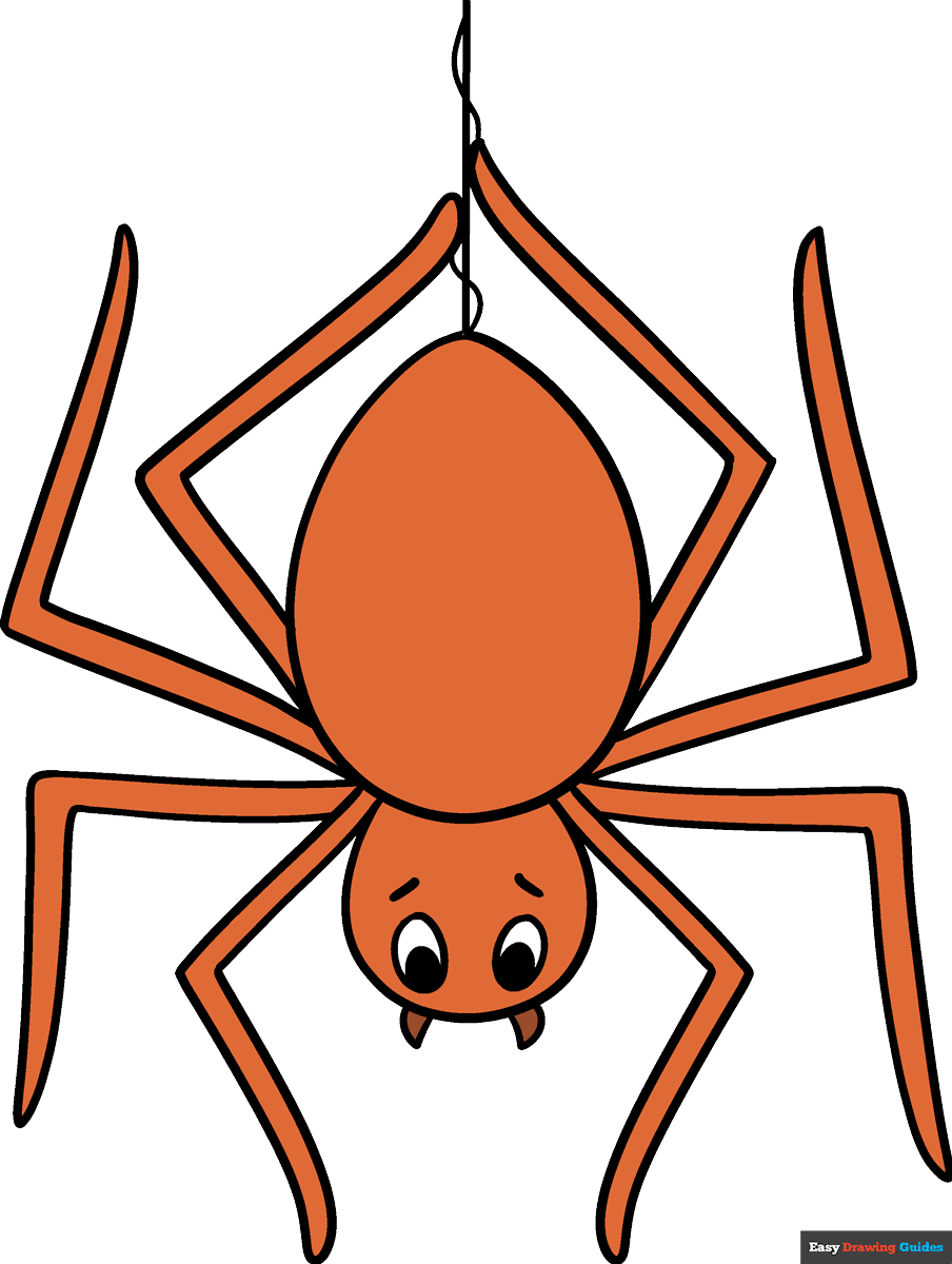 How To Draw A Spider Really Easy Drawing Tutorial
