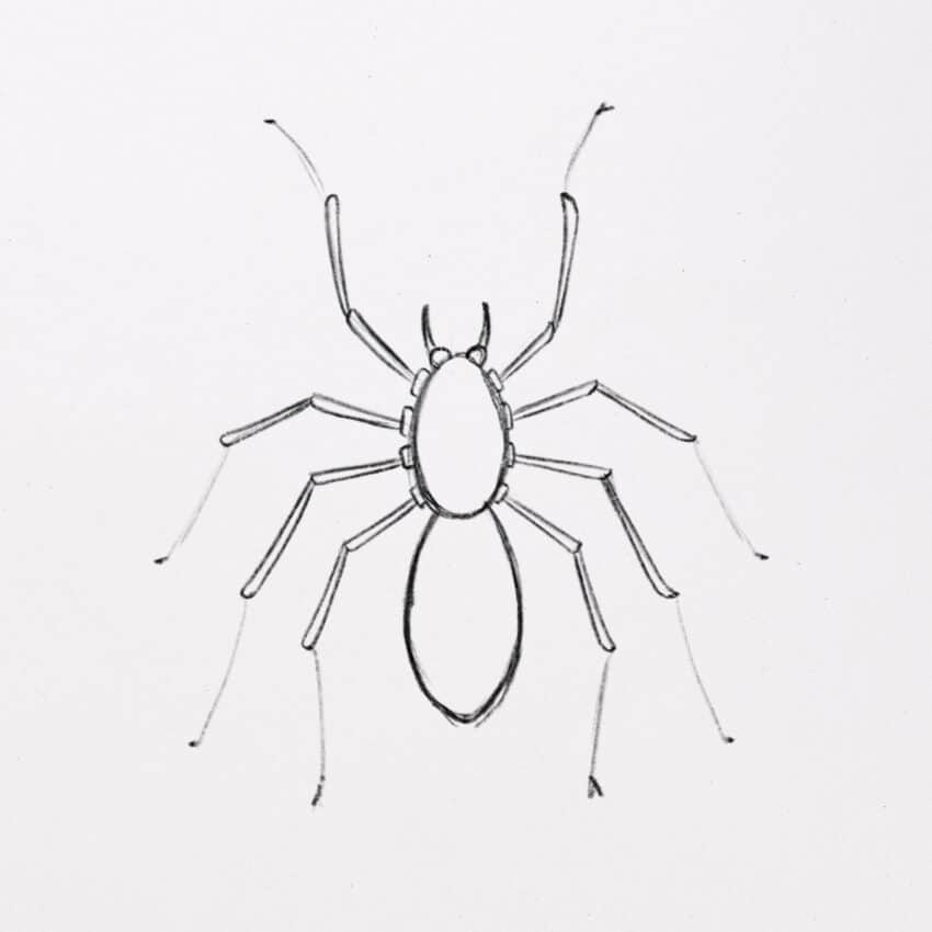 How To Draw A Spider with Amazing Details 