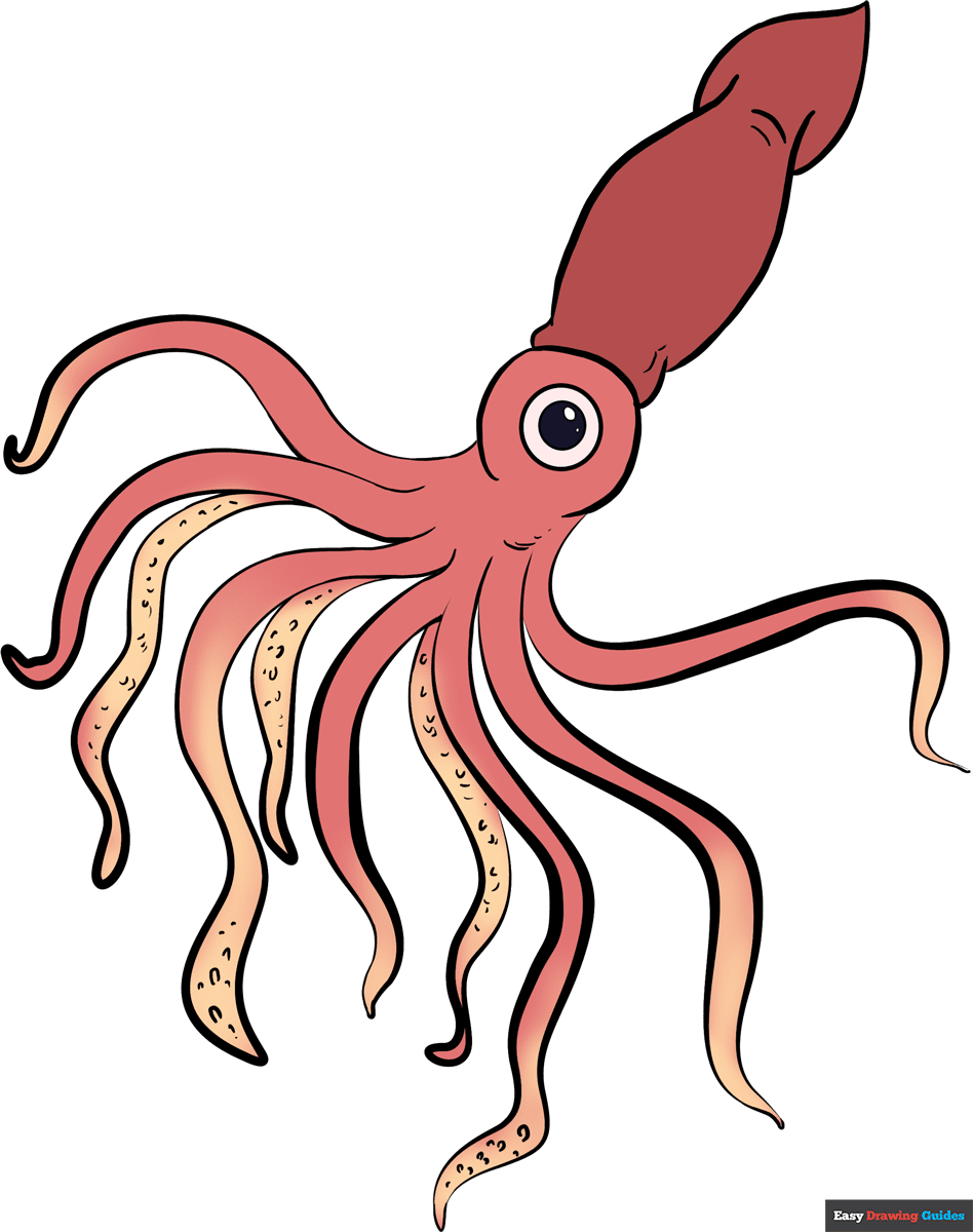How To Draw A Squid Really Easy Drawing Tutorial