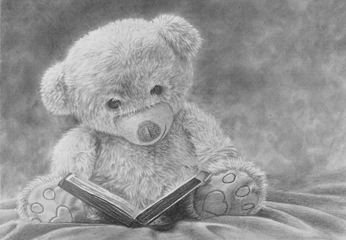 draw a teddy bear
