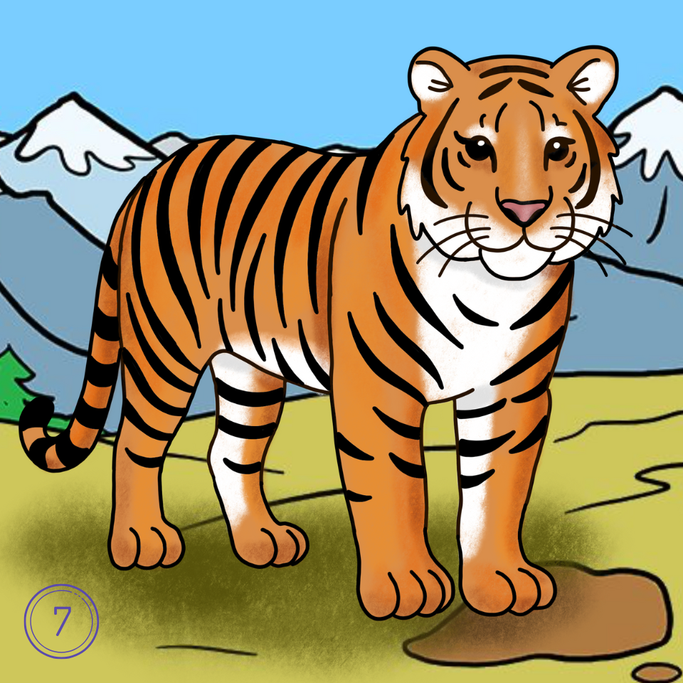 How To Draw A Tiger A Step by Step Guide From Mimi Panda How To Mimi Panda