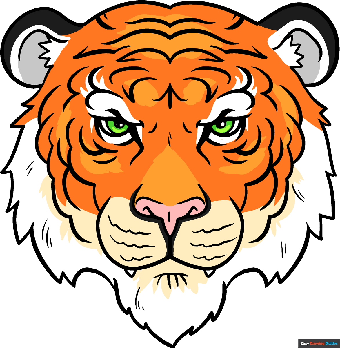 how you draw a tiger