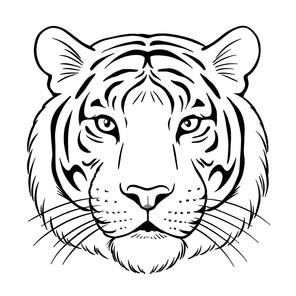 drawing simple tiger