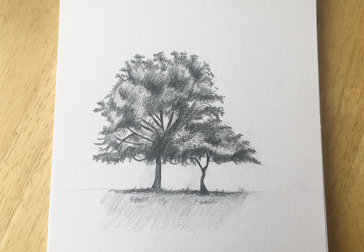 How To Draw A Tree Step By Step Gathered