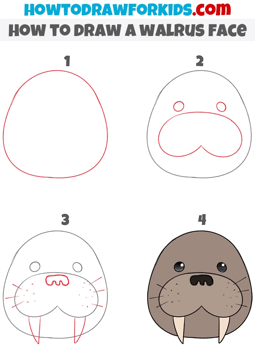 walrus drawing for kids