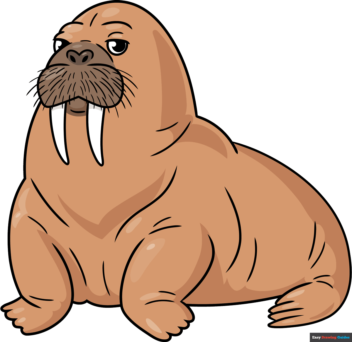 How To Draw A Walrus Really Easy Drawing Tutorial