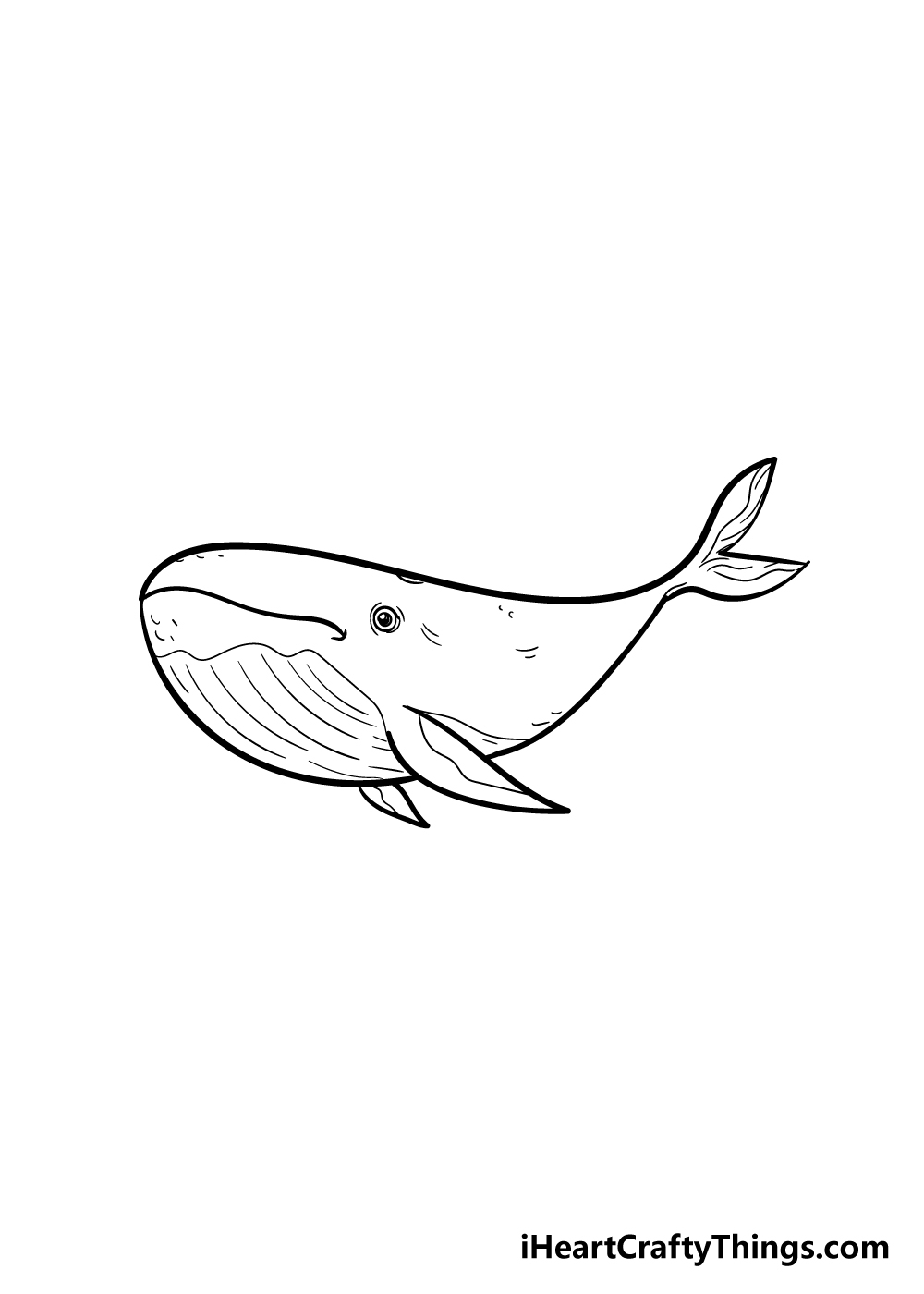 How To Draw A Whale Step By Step Easy Whale Drawing For Kids