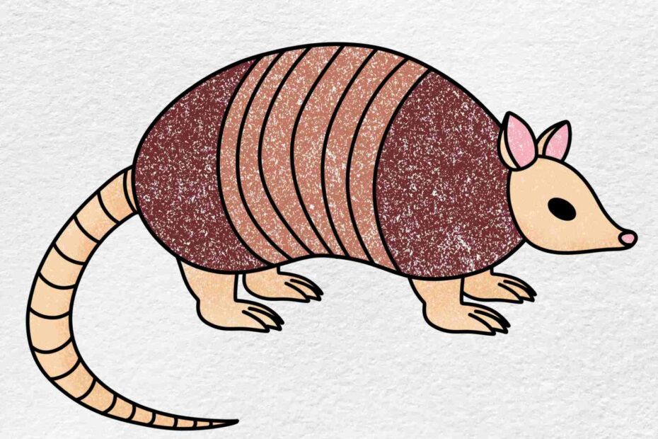 How To Draw An Armadillo HelloArtsy