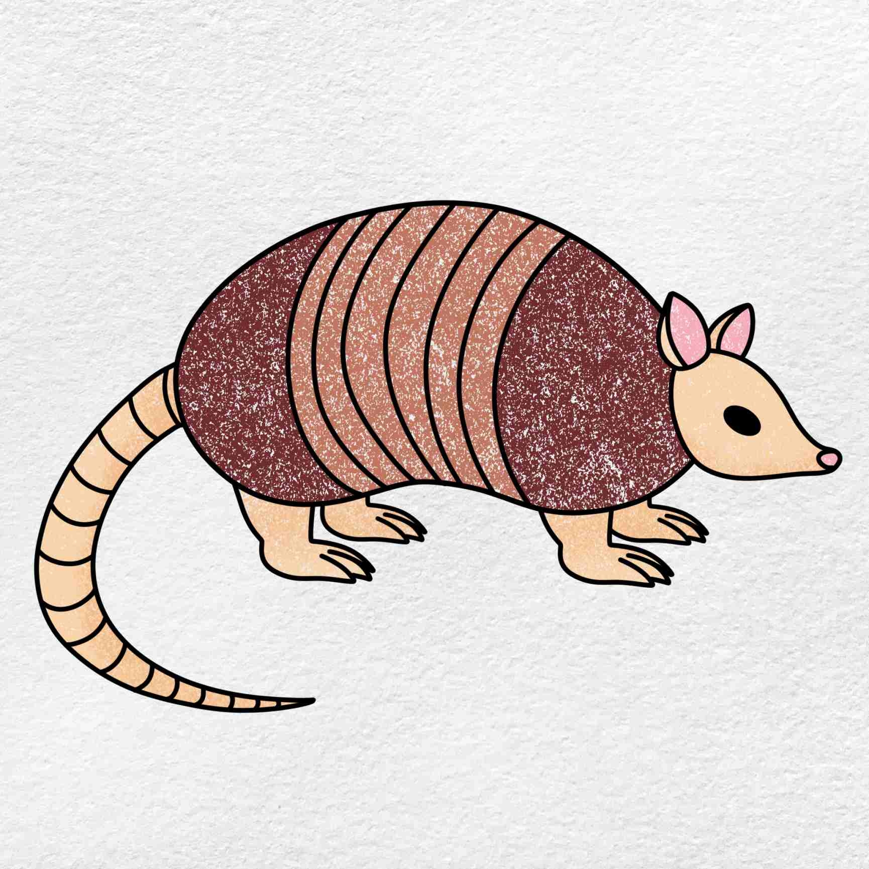 How To Draw An Armadillo HelloArtsy